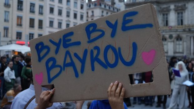 Why Did the French Government Collapse? The Meaning of the Institutional Breakdown