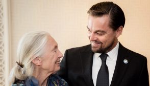 Celebrities Pay Tribute to Jane Goodall: Leonardo DiCaprio, Mark Ruffalo & More