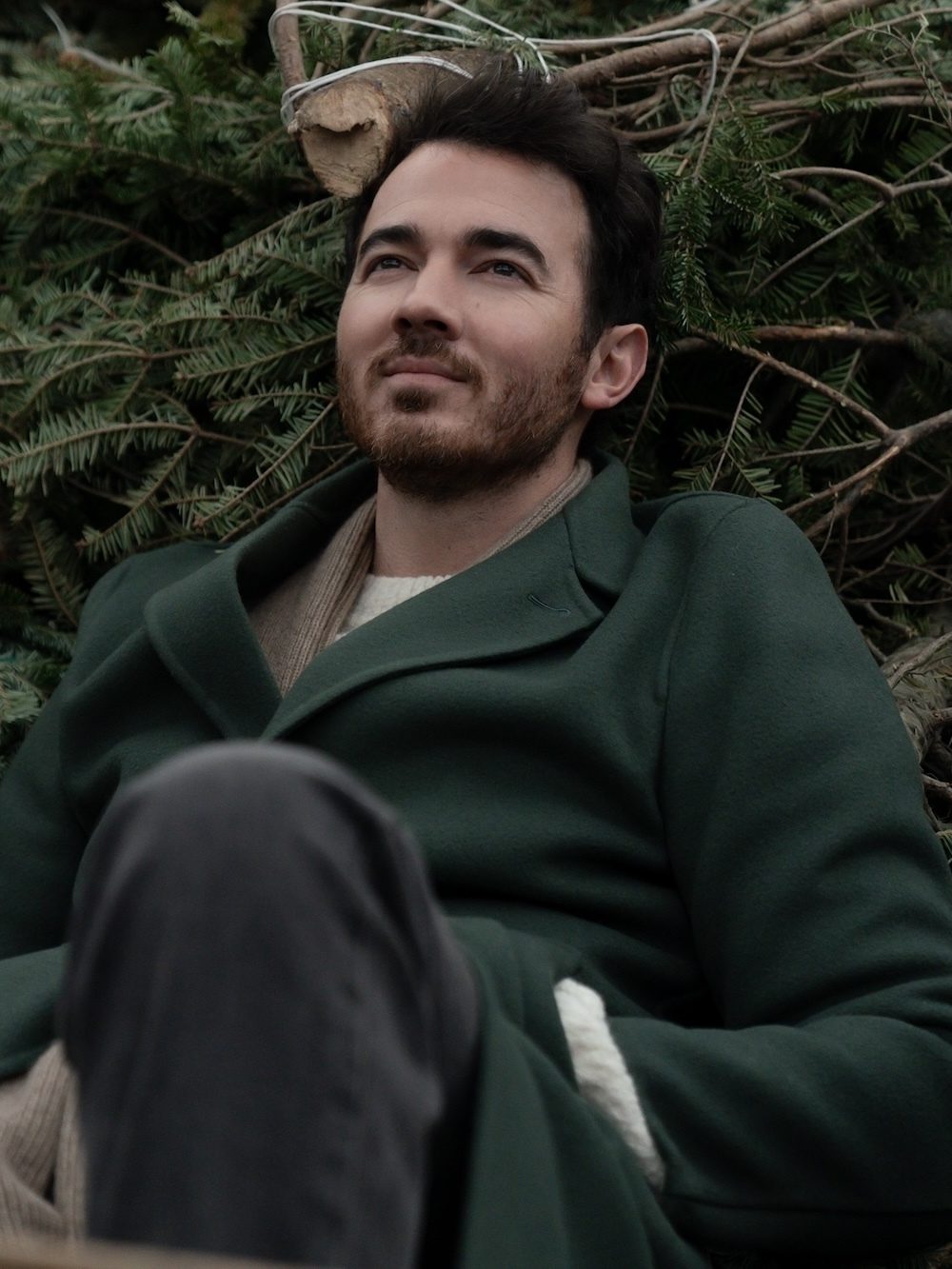 What Is 'A Very Jonas Christmas Movie' About? Plot & Cast Explained