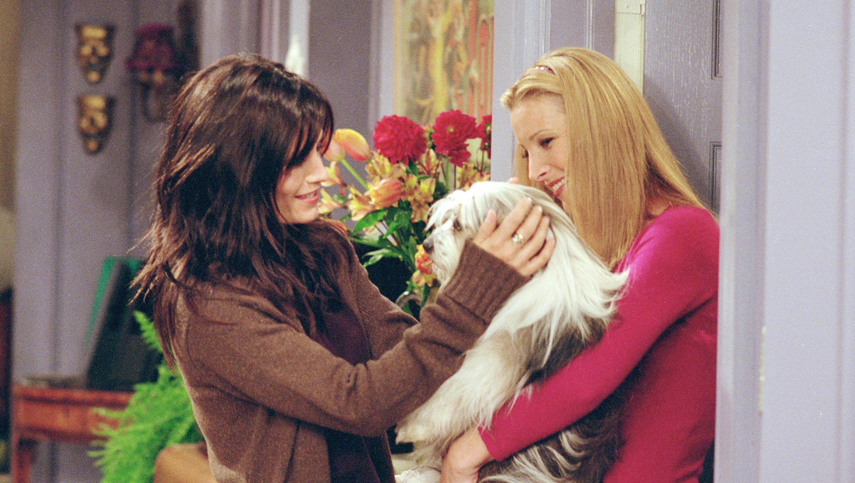 Best Thanksgiving TV Episodes to Watch on the Holiday: Our Top Picks