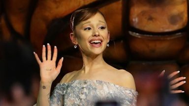 Who Is Johnson Wen, ‘Pyjama Man’ Who Attacked Ariana Grande at the 'Wicked: For Good' Premiere?