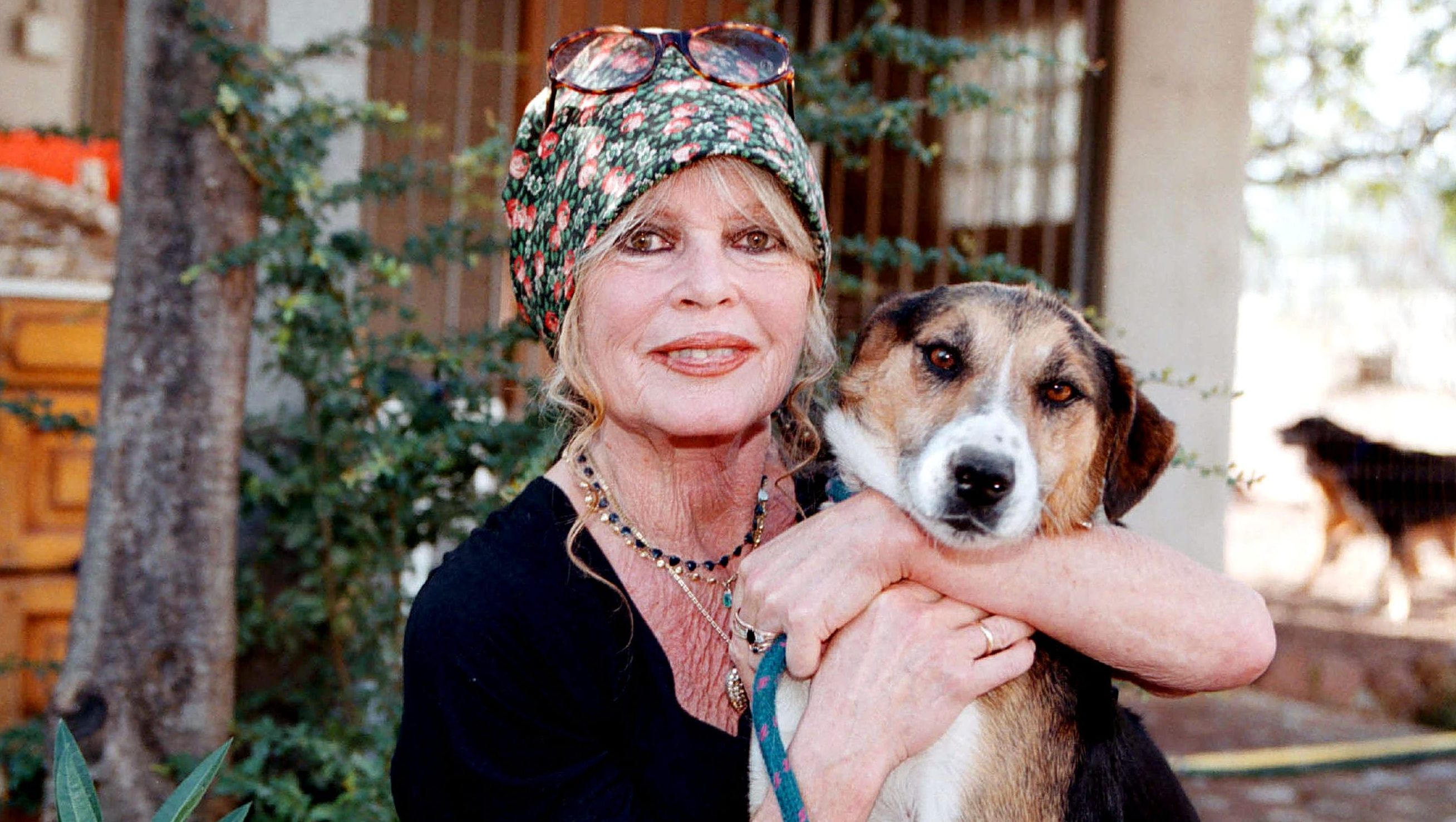 Brigitte Bardot’s Cause of Death Updates: How Did the French Movie Star Die?
