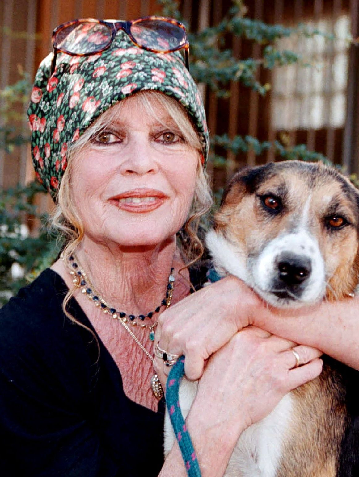 Brigitte Bardot's Cause of Death Updates: How Did the French Movie Star Die?
