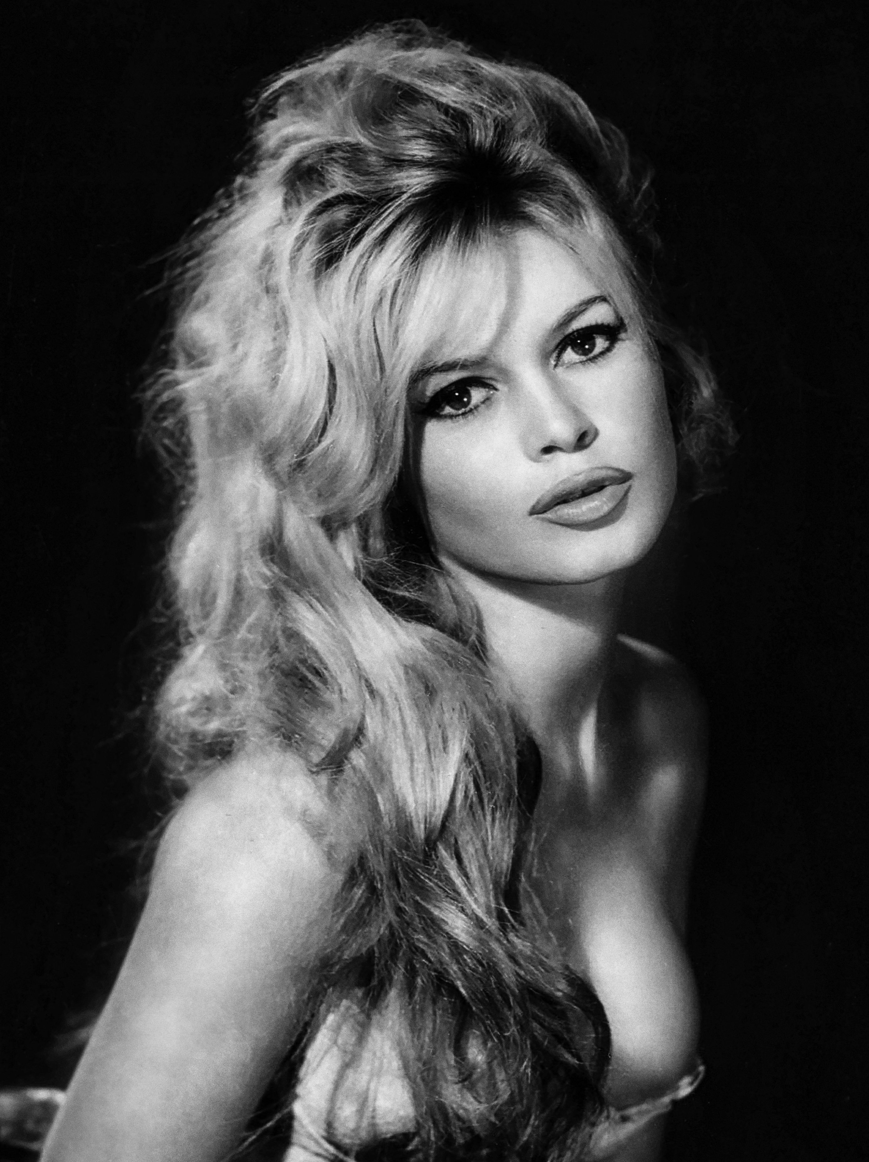 Brigitte Bardot Net Worth: How Much Money the Actress Made in Her Life