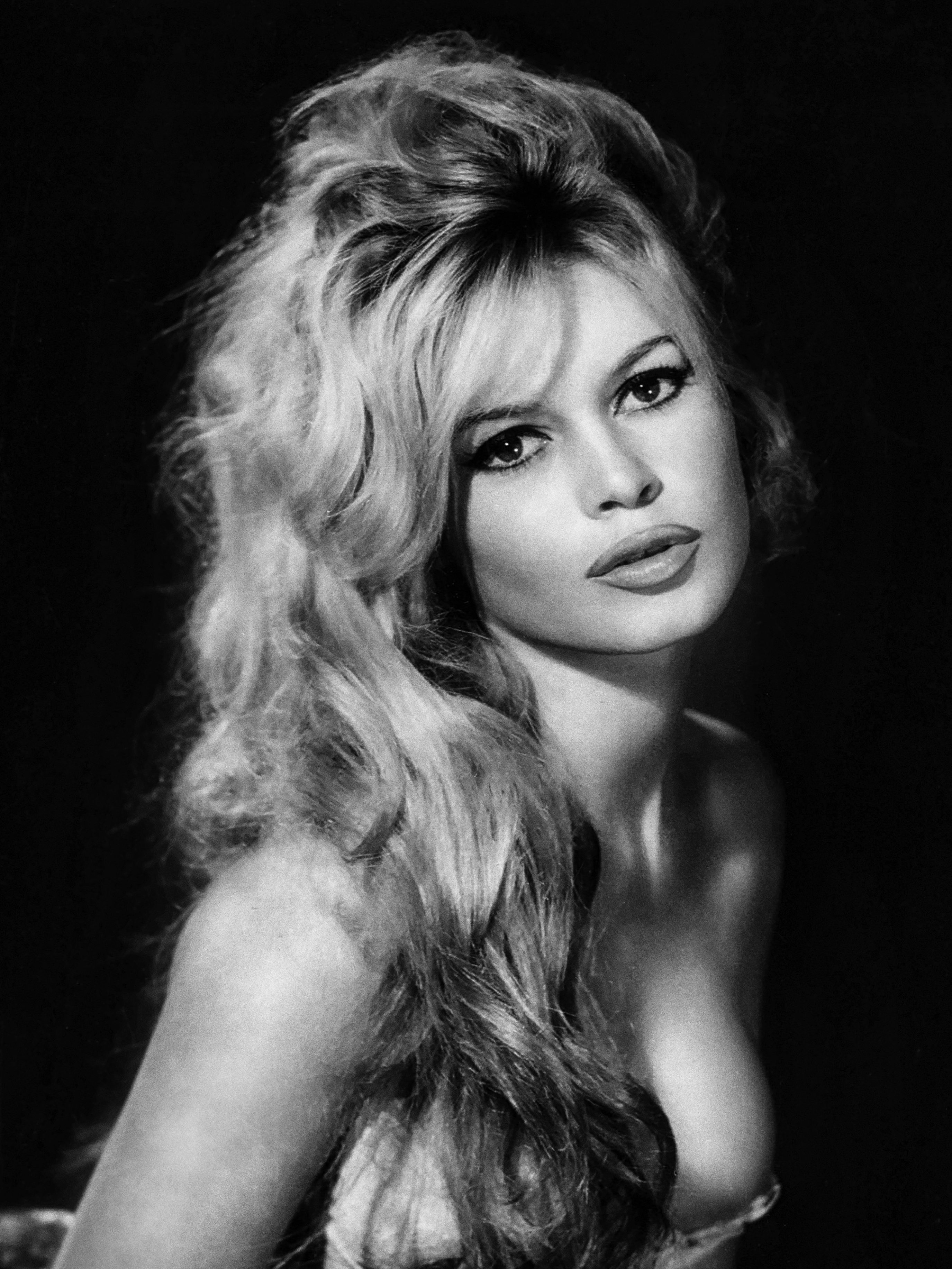 Brigitte Bardot Controversy: The Truth About the Late French Actress' Beliefs