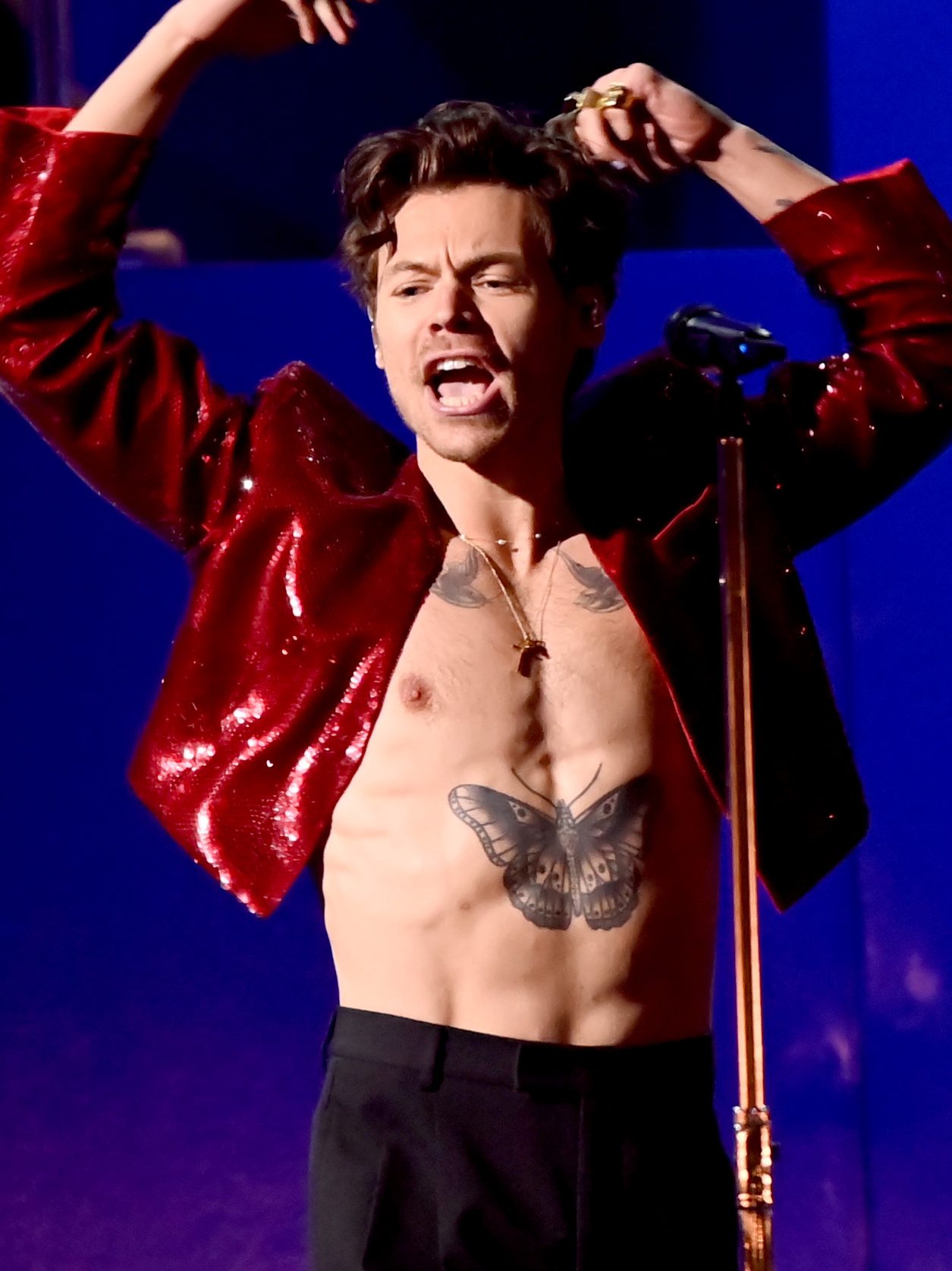 Harry Styles' 2026 Tour Tickets: Presale Date, How to Sign Up, Ticket Prices & More