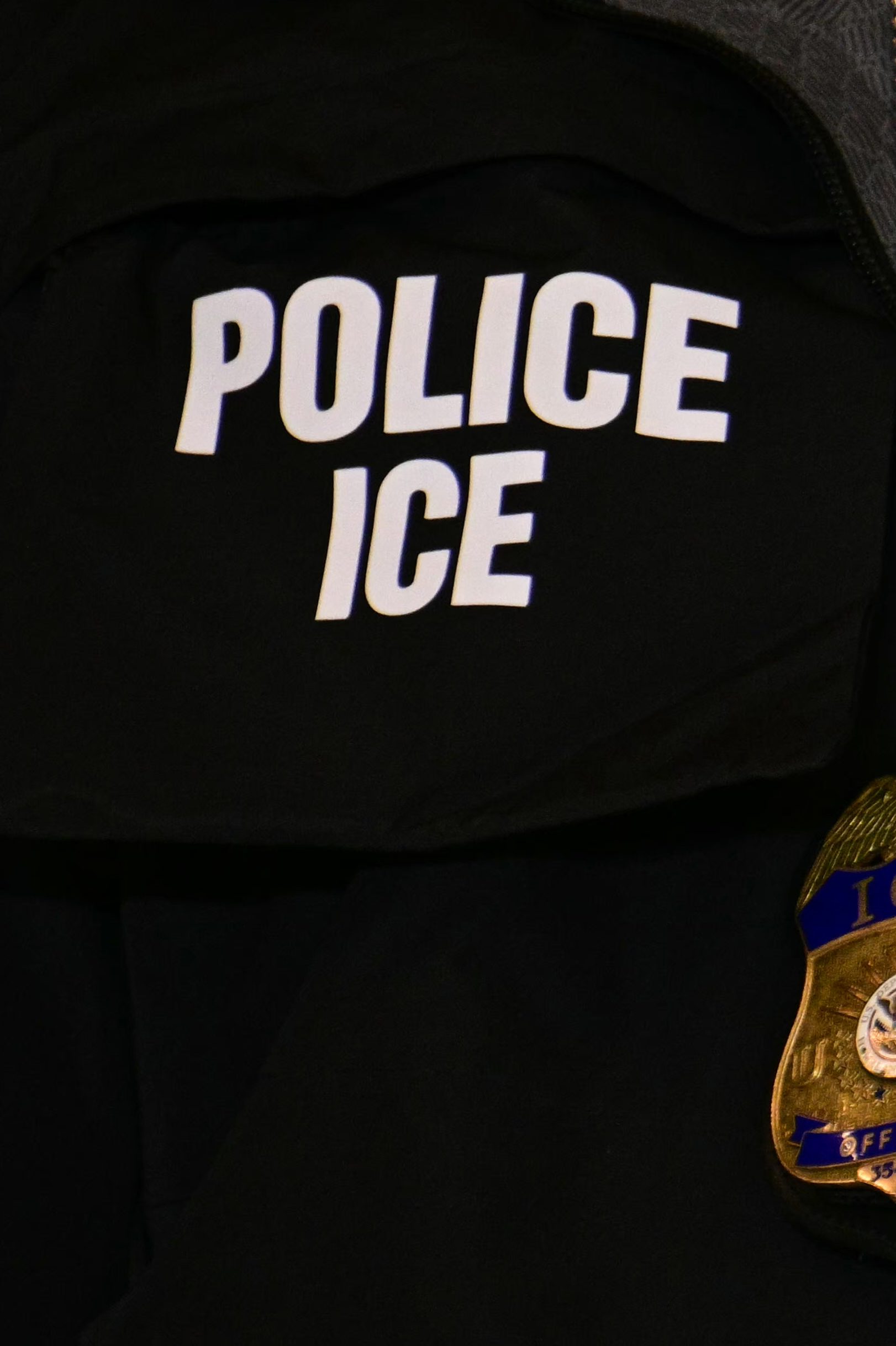 Where Is Liam Conejo Ramos Now? Updates on the 5-Year-Old Child's ICE Detainment