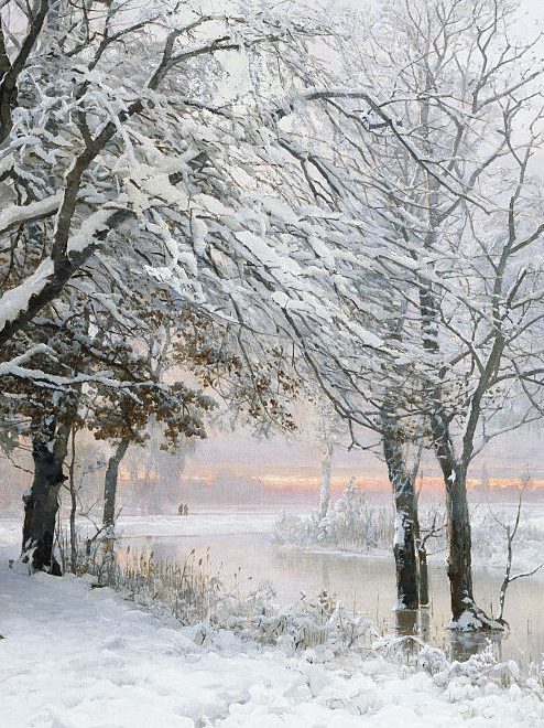 Can Trees Explode in Extreme Cold? Learn About the Exploding Trees Rumor This Winter