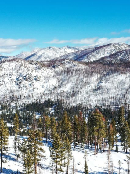 Tahoe Avalanche 2026: Updates on Missing Blackbird Mountain Guides Skiers