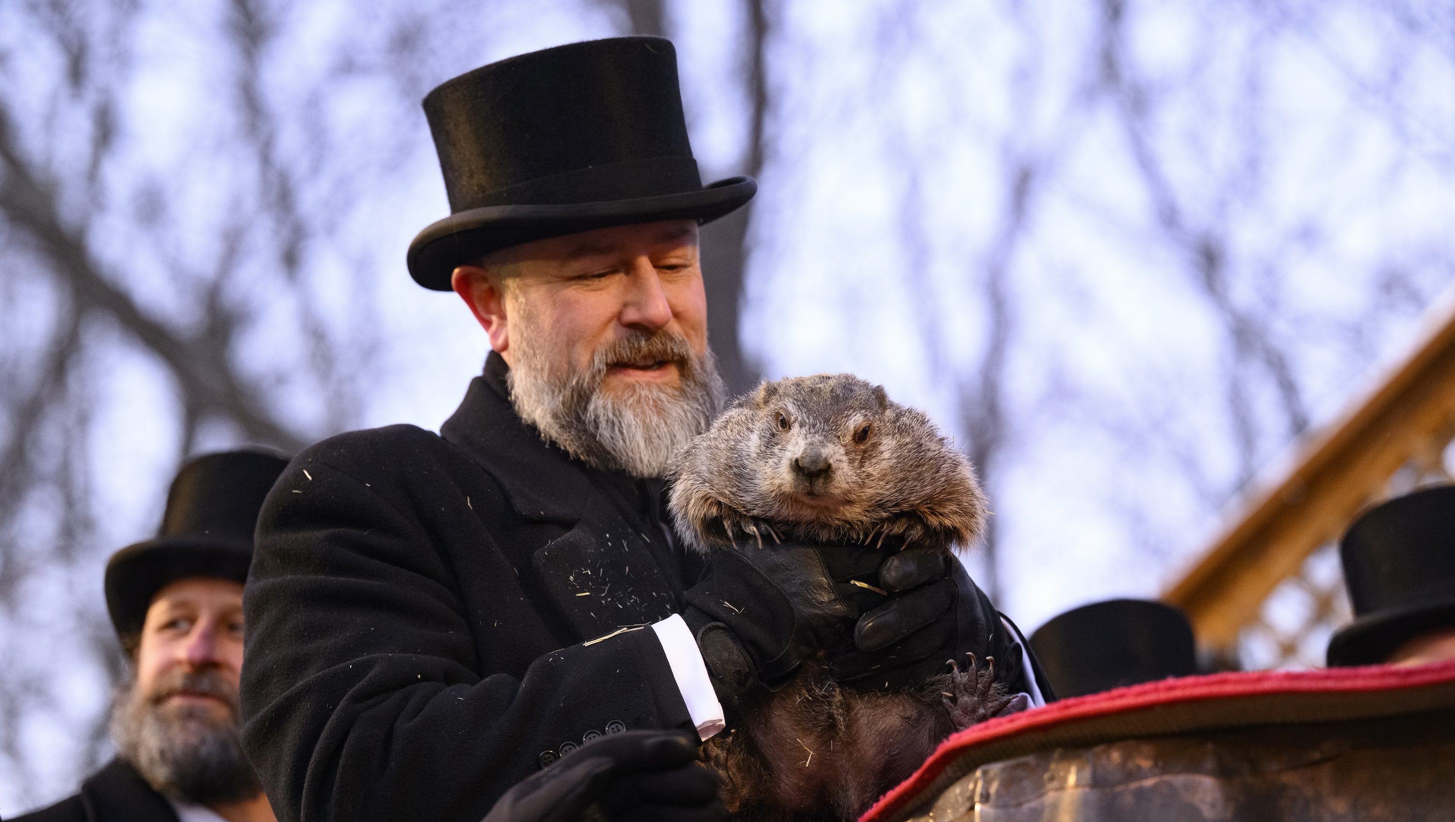 Did Punxsutawney Phil See His Shadow for 2026? Winter Update