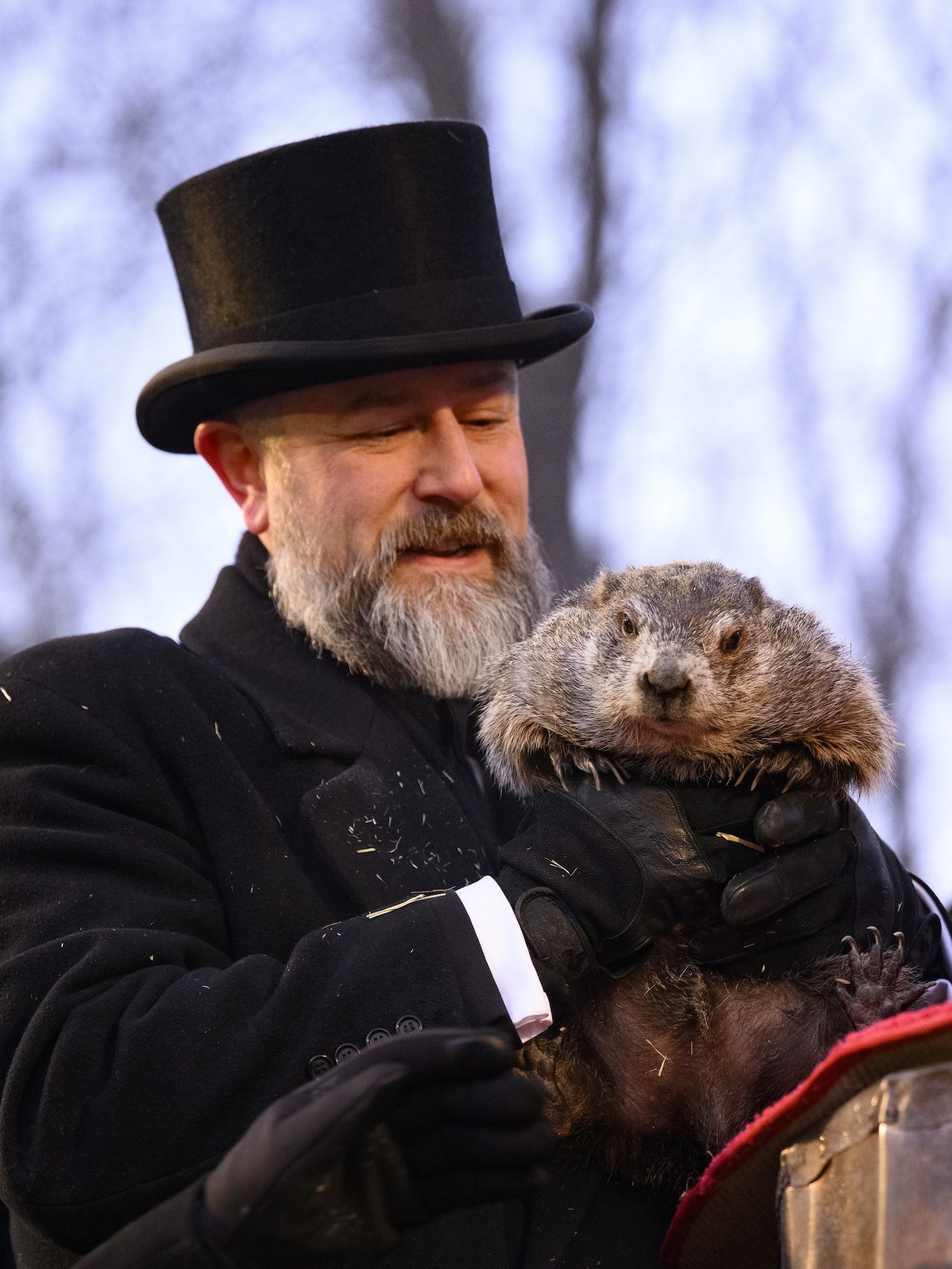 Did Punxsutawney Phil See His Shadow for 2026? Winter Update