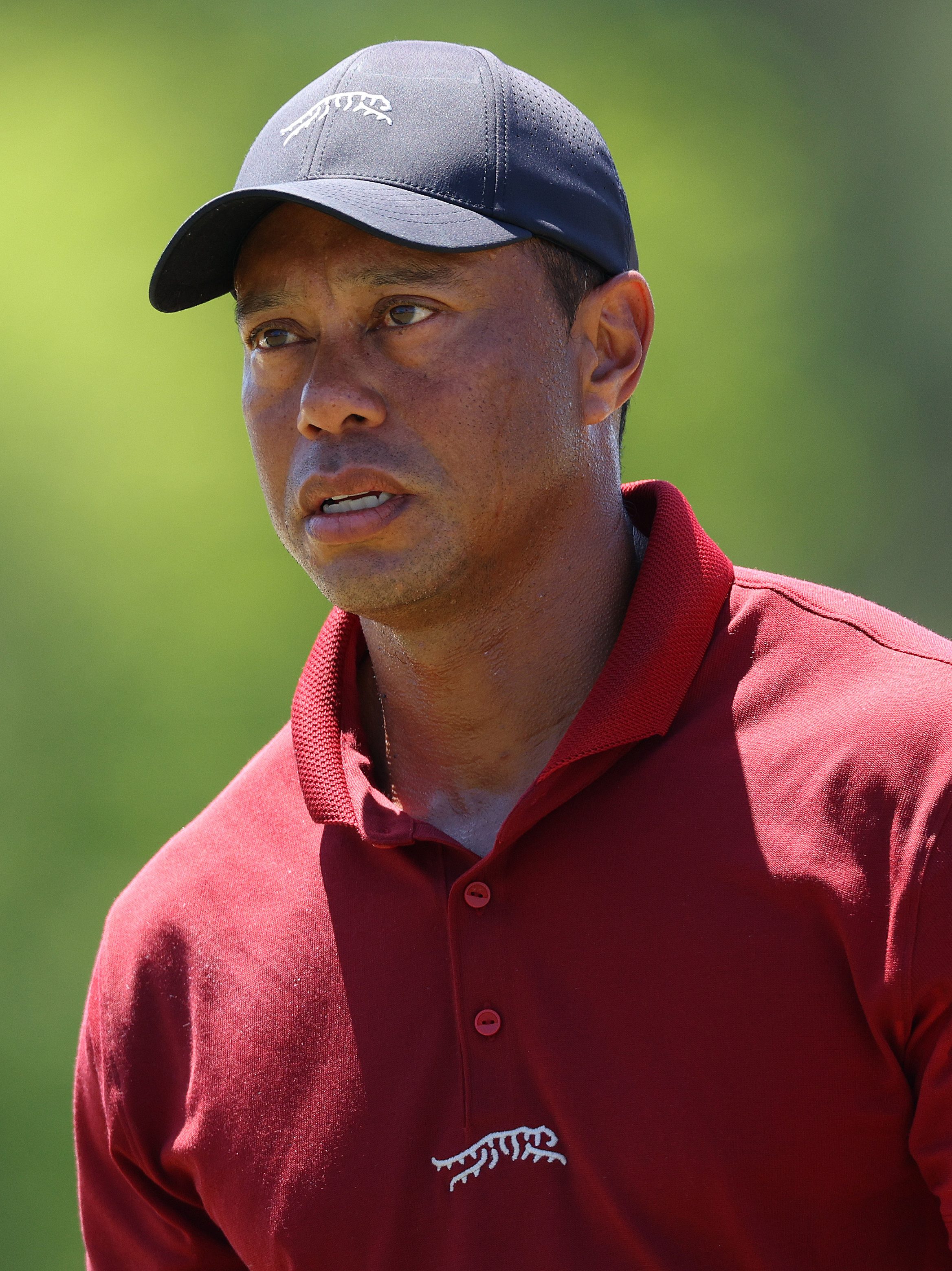 Tiger Woods' Rollover Crash 2026: Updates on His Condition After the Accident