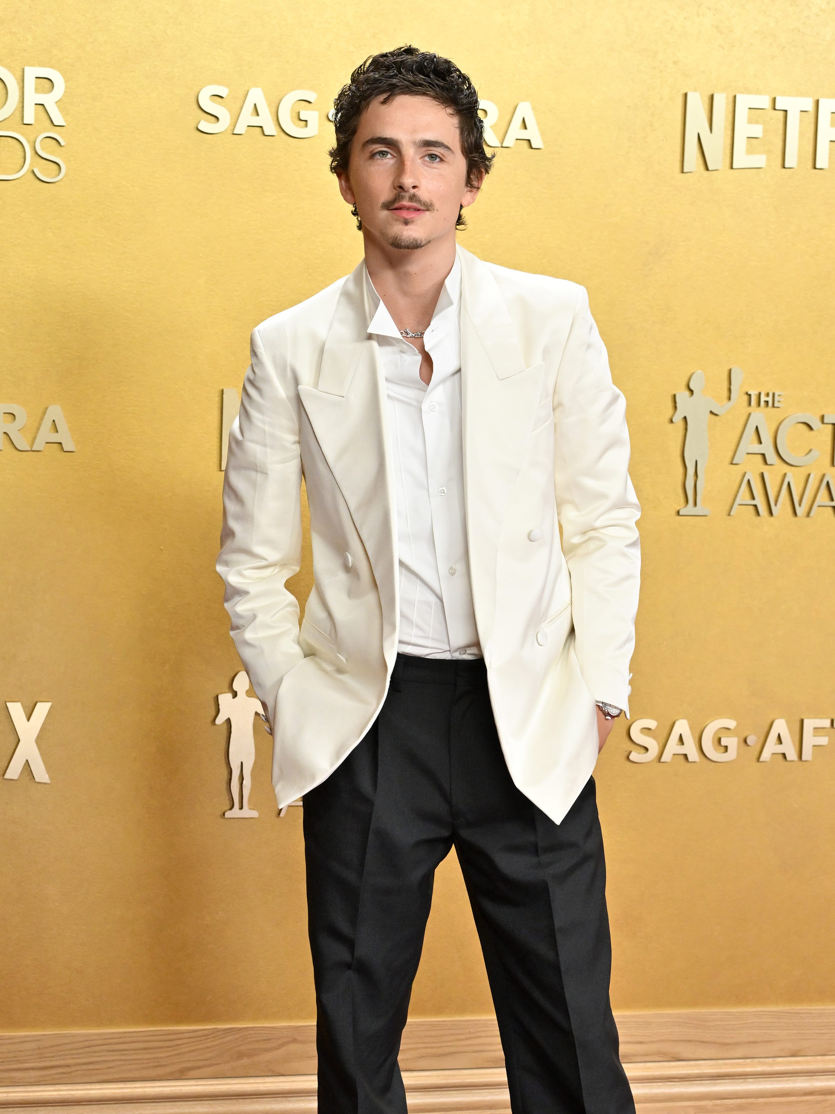 What Did Timothee Chalamet Say About Ballet & Opera? His Comment & the Backlash