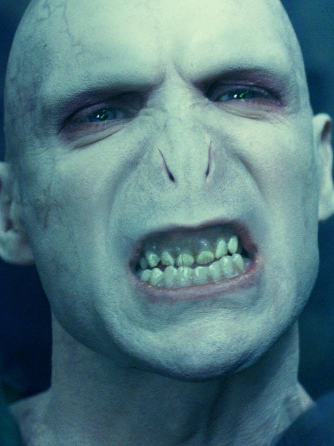 Who Is Playing Voldemort in the New 'Harry Potter' Series? Cast Updates