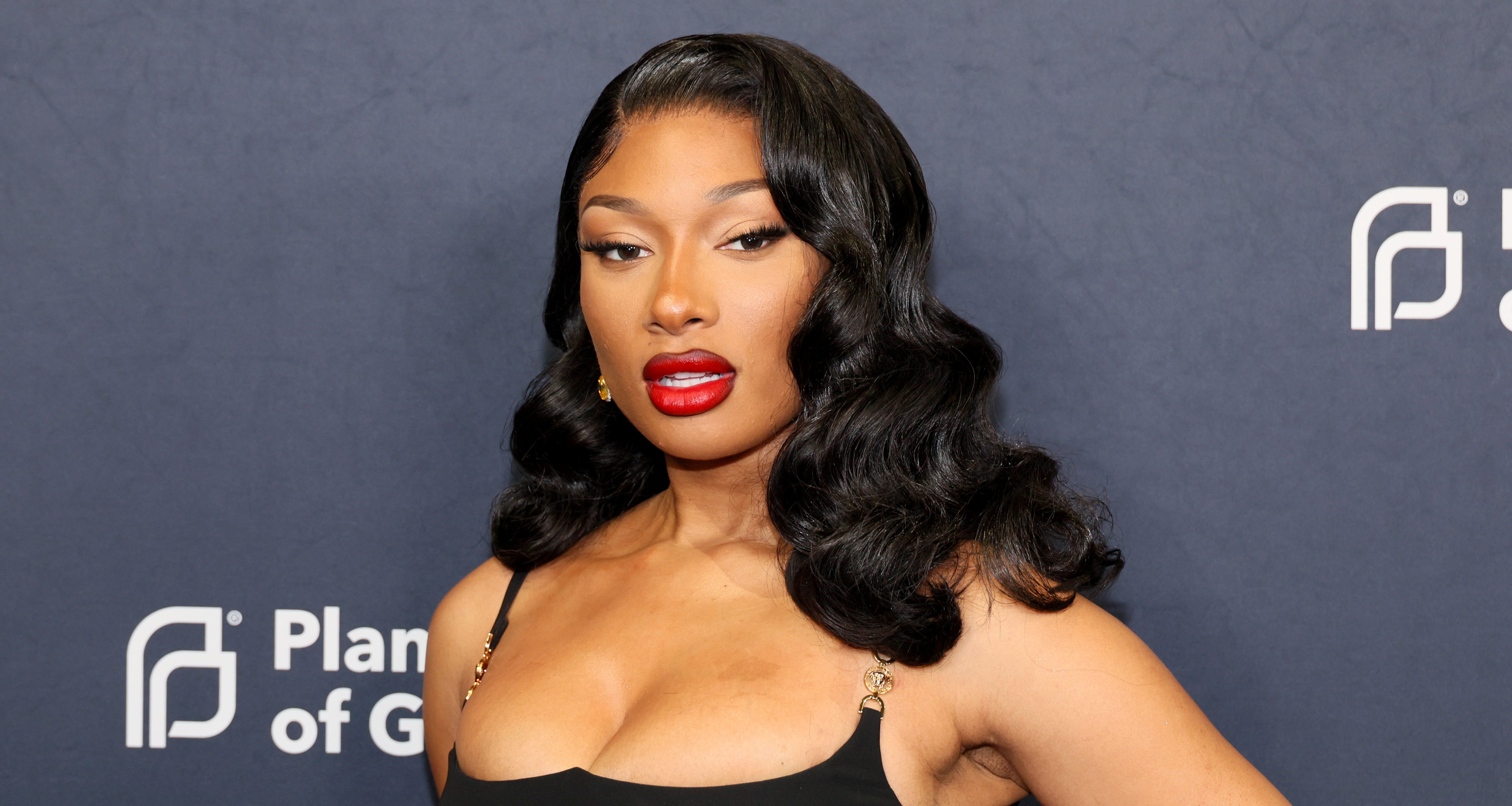 NEW YORK, NEW YORK - APRIL 16: Megan Thee Stallion attends the 2024 Planned Parenthood Of Greater New York Gala on April 16, 2024 in New York City. (Photo by Dia Dipasupil/Getty Images)
