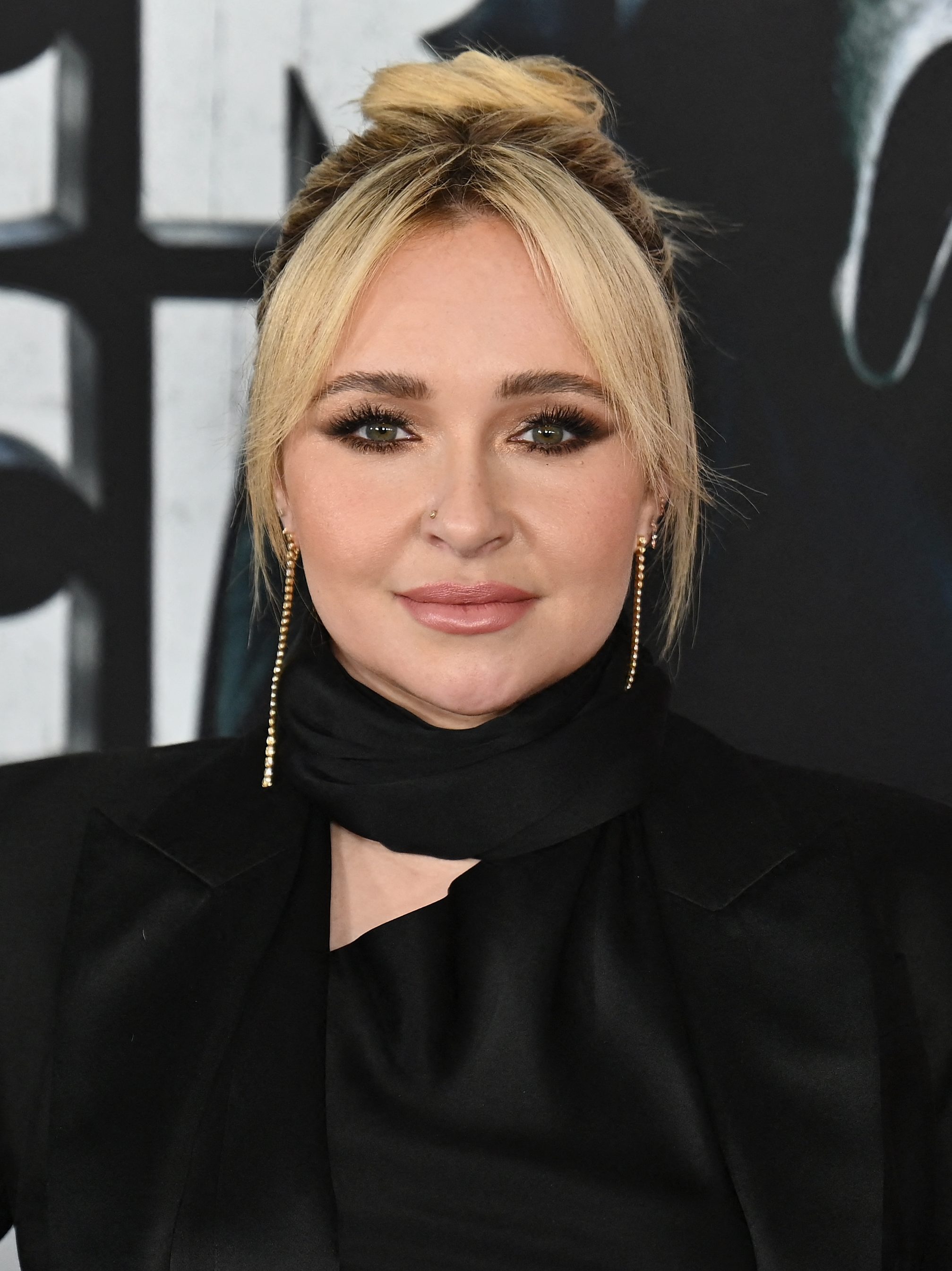 Who Was the British Singer Hayden Panettiere Was Talking About in Her Book?