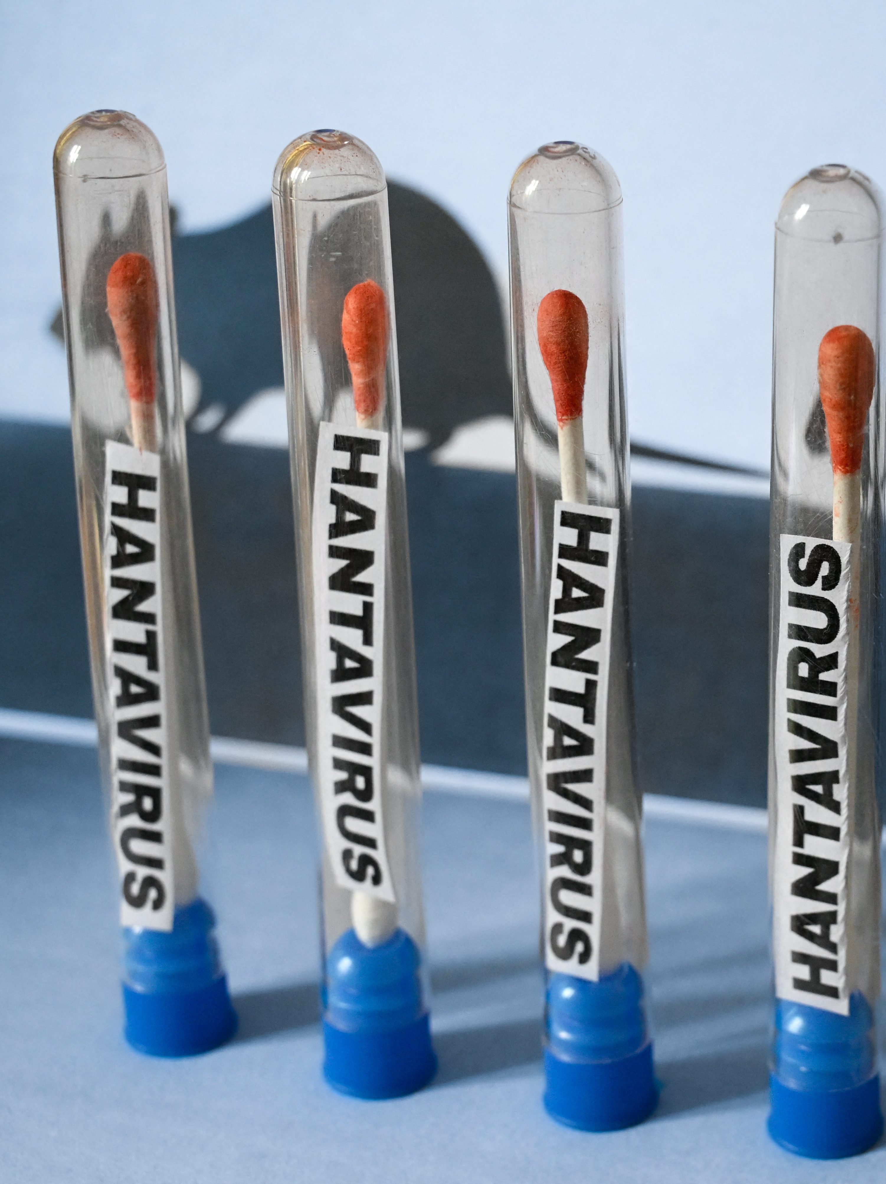 Is the Hantavirus in the U.S.? Update Amid 2026 Cruise Ship Chaos