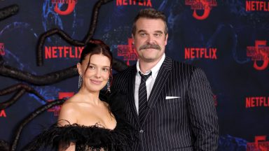 David Harbour and Millie Bobby Brown ‘Stranger Things’ Rumors Explained David Harbour and Millie Bobby Brown ‘Stranger Things’ Rumors Explained